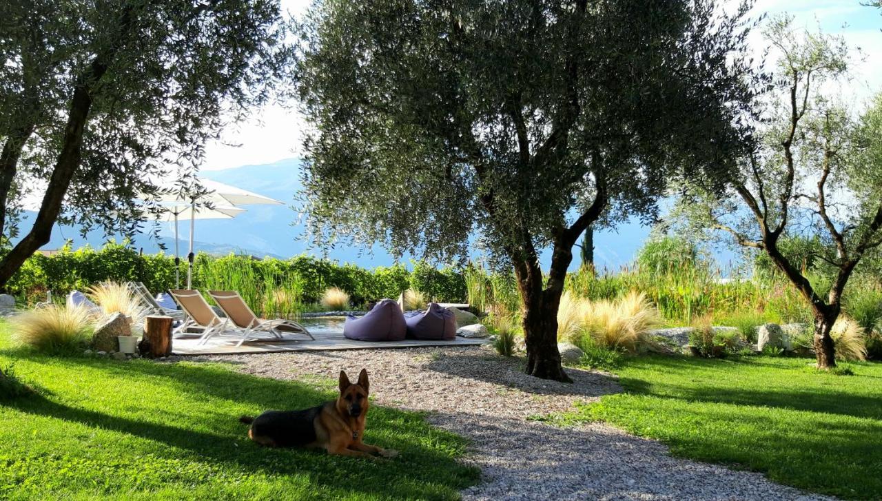 Agritur Fiore D'Ulivo Riva del Garda Buitenkant foto