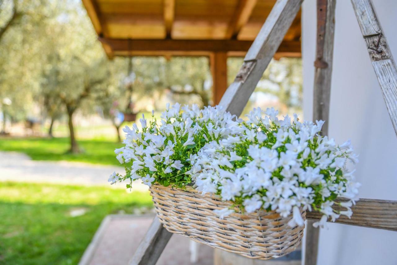 Agritur Fiore D'Ulivo Riva del Garda Buitenkant foto